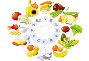 關(guān)于營(yíng)養(yǎng)食品與健康相關(guān)工作和職業(yè)的學(xué)歷要求解析