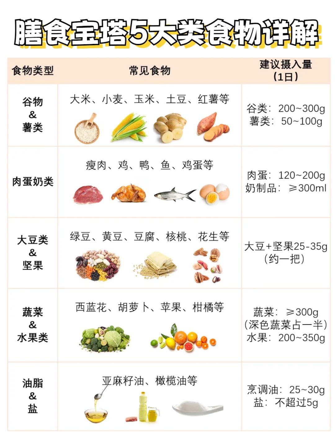 膳食指南 五大類食物營養(yǎng)全解析——邁向均衡營養(yǎng)的實(shí)踐之路